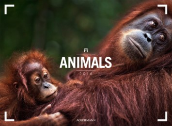 Animals 2016 - Cover