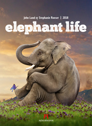 Elephant Life 2018