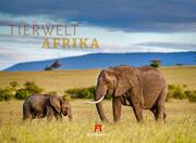 Tierwelt Afrika 2023 - Cover
