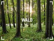 Wald 2023 - Cover