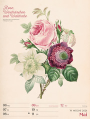 Ars Floralis - Wochenplander 2024 - Abbildung 22