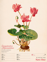 Ars Floralis - Wochenplander 2024 - Abbildung 51