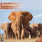 Elefanten 2023