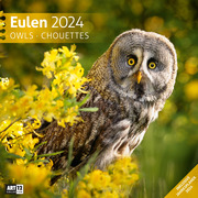 Eulen 2024 - Cover