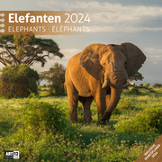Elefanten 2024 - Cover