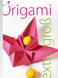 Origami extra groß - Cover