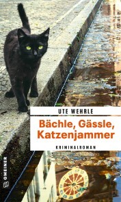 Bächle, Gässle, Katzenjammer - Cover