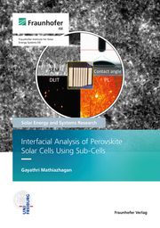 Interfacial Analysis of Perovskite Solar Cells using Sub-cells