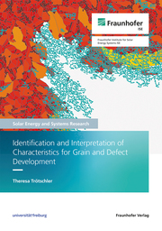 Identification and Interpretation of Characteristics for Grain and Defect Development