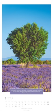 Wunderwelt der Bäume Kalender 2025 - Abbildung 5