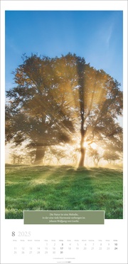 Wunderwelt der Bäume Kalender 2025 - Abbildung 8