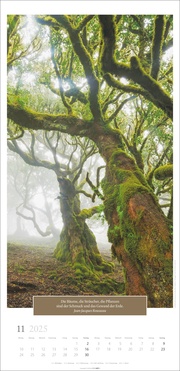 Wunderwelt der Bäume Kalender 2025 - Abbildung 11