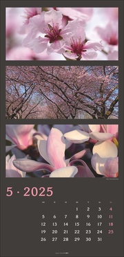 Die Farben der Natur Kalender 2025 - Abbildung 5