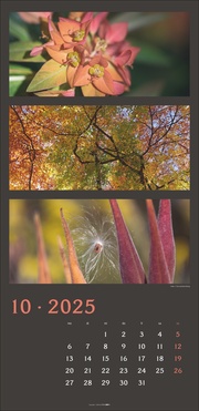 Die Farben der Natur Kalender 2025 - Abbildung 10