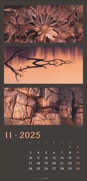 Die Farben der Natur Kalender 2025 - Abbildung 11