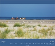Nordsee Kalender 2025 - Illustrationen 5