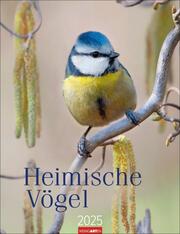 Heimische Vögel Kalender 2025 - Cover