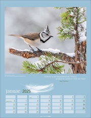Heimische Vögel Kalender 2025 - Abbildung 1