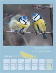 Heimische Vögel Kalender 2025 - Abbildung 2