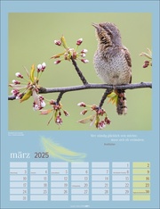 Heimische Vögel Kalender 2025 - Abbildung 3