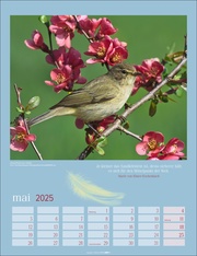 Heimische Vögel Kalender 2025 - Abbildung 5