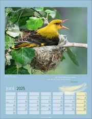 Heimische Vögel Kalender 2025 - Abbildung 6