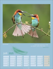 Heimische Vögel Kalender 2025 - Abbildung 7