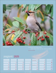 Heimische Vögel Kalender 2025 - Abbildung 8