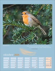 Heimische Vögel Kalender 2025 - Abbildung 10