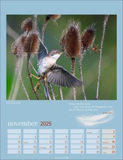 Heimische Vögel Kalender 2025 - Abbildung 11