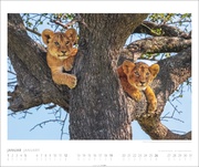 African Wildlife Kalender 2025 - Abbildung 1