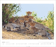 African Wildlife Kalender 2025 - Abbildung 3