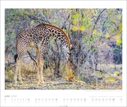 African Wildlife Kalender 2025 - Abbildung 6