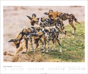 African Wildlife Kalender 2025 - Abbildung 11