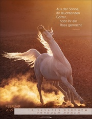Pferdepoesie Kalender 2025 - Abbildung 2