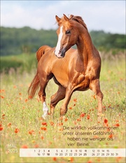 Pferdepoesie Kalender 2025 - Abbildung 5