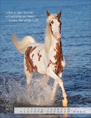 Pferdepoesie Kalender 2025 - Abbildung 7