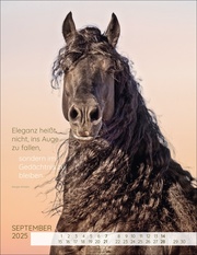 Pferdepoesie Kalender 2025 - Abbildung 9