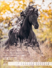 Pferdepoesie Kalender 2025 - Abbildung 11