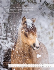 Pferdepoesie Kalender 2025 - Abbildung 12