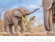 Elefantenbabys Kalender 2025 - Abbildung 3