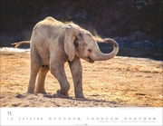Elefantenbabys Kalender 2025 - Abbildung 11