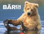 Bären Kalender 2025 - Cover
