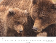 Bären Kalender 2025 - Abbildung 8