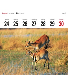 Tiere der Wildnis 2015 - Abbildung 12