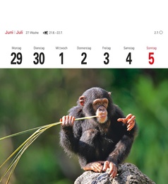 Tiere der Wildnis 2015 - Abbildung 4