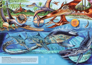 Ich zeig dir alles: Dinosaurier - Illustrationen 3
