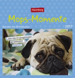 Mops-Momente 2017