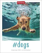 Dogs Kalender 2021 - Cover