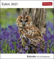 Eulen Kalender 2021